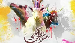 عید قرباں کی حکمت عملی کیا ہوگی/ جانور کی قربانی اور عوام کو کورونا سے خطرات