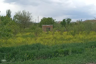 طبیعت بهاری رودخانه اهرچای در شهرستان اهر