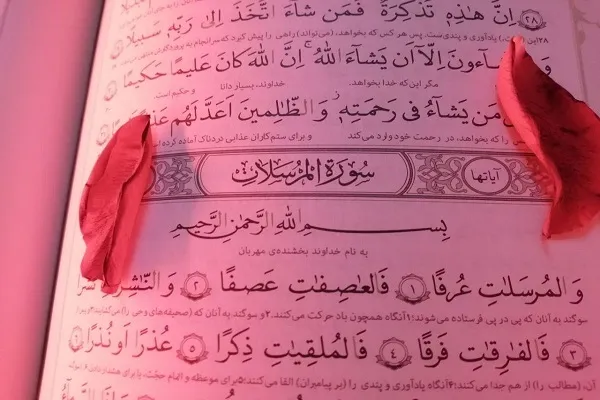 هشدار جدی قرآن به انکارکنندگان روز قیامت + تلاوت