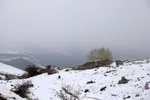 زمستان در بهار منطقه ارسباران