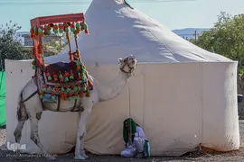 بزرگترین سوگواره تعزیه میدانی «شور حسینی» در شیراز