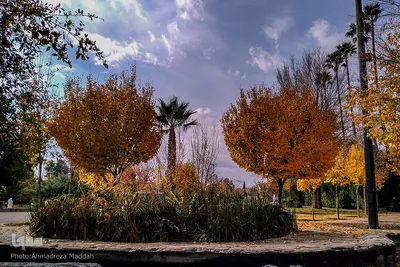 آخرین روز از پاییز 1400 در بوستان آزادی شیراز ‎‎‎‎