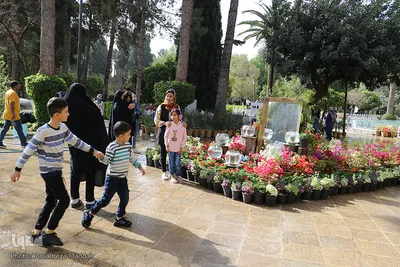مسافران نوروزی در باغ ارم شیراز