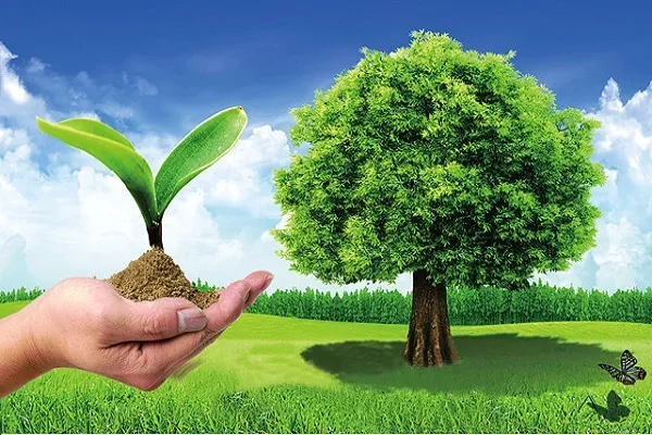 Un seminario en Qatar discute el medio ambiente desde el punto de vista del Corán
