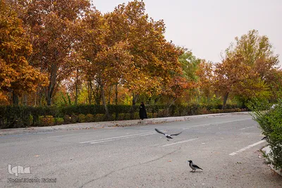 پاییز تهران ۱۳۹۷