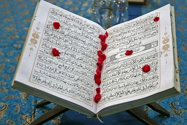 فعالیت‌های شش ماهه نخست سال 98 اتحادیه خراسان شمالی اعلام شد