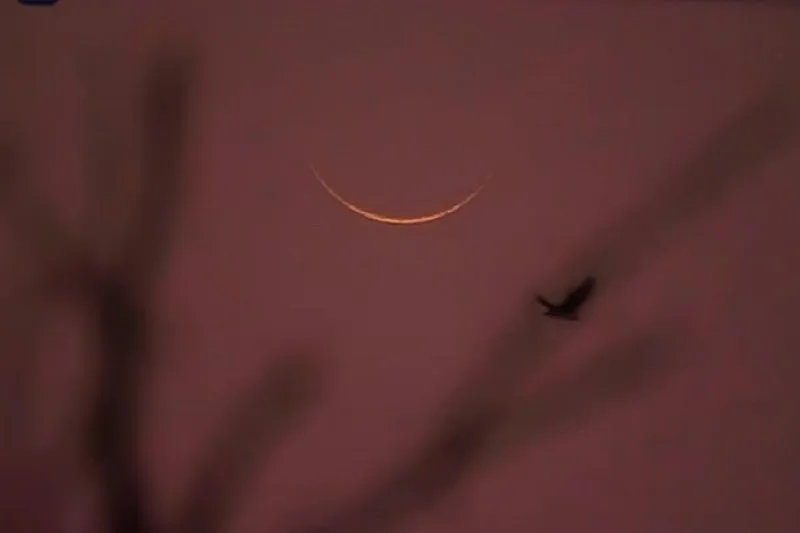চাঁদ দেখা গেছে, বাংলাদেশে কাল ঈদ