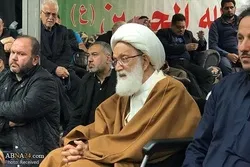Ayətullah İsa Qasim Londonda İmam Hüseyn (ə) əzadarlığı məclisində – FOTO