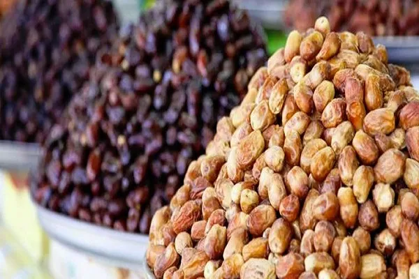 Katar'da uluslararası hurma fuarı düzenleniyor