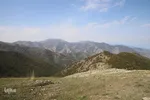 بقعه امامزاده پیرداوود‎