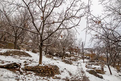 بارش برف در روستای «کندازی‎‎» - استان فارس