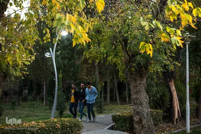 پاییز هزاررنگ
