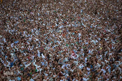 نماز عید فطر در بین‌الحرمین کربلای معلی