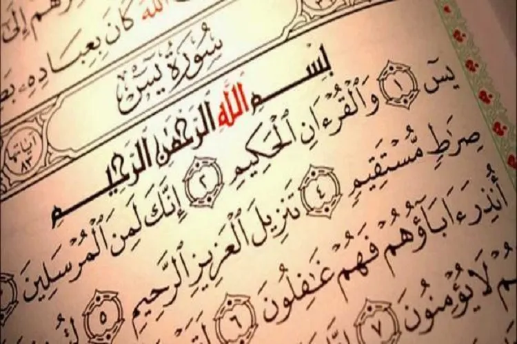 برگزاری محفل انس با قرآن در دانشگاه ولی‌عصر(عج) رفسنجان