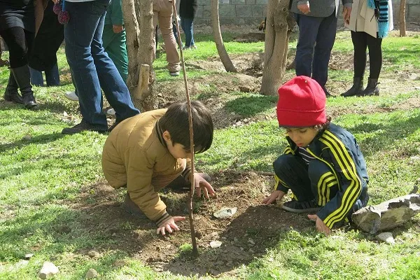 درختکاری برای یاری به 5 هزار خانواده کم‌برخوردار