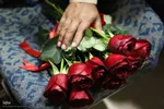 گزارش تصویری از: مراسم تجلیل از پیشکسوتان موسیقی منطقه ارسباران در اهر
