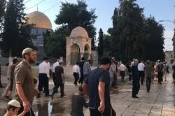 95 coloni fanno irruzione ad al-Aqsa