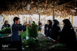 نذری تاسوعای حسینی