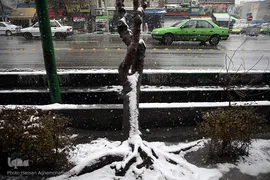 بارش برف زمستانی در تهران