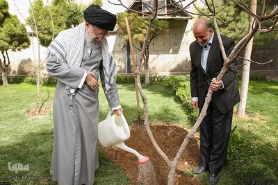 کاشت نهال توسط مقام معظم رهبری در هفته منابع طبیعی
