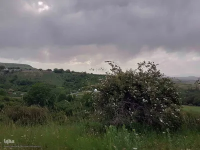 طبیعت بکر و زیبای منطقه گردشگری فندقلوی اهر