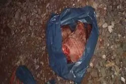 Schweineköpfe an Moschee-Baustelle gefunden