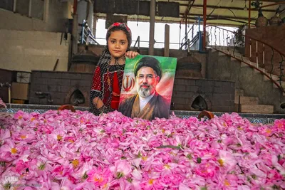 برداشت گل در میمند فارس برای دانش آموزان شهید میناب