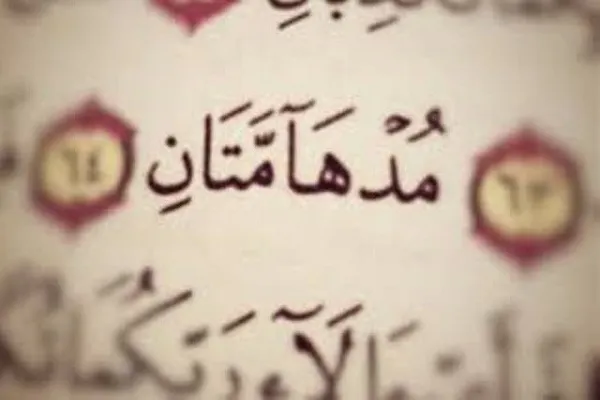 رقابت ۱۴۰۰ کردستانی در جشنواره قرآنی مدهامتان