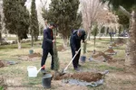 آیین روز درختکاری در اصفهان