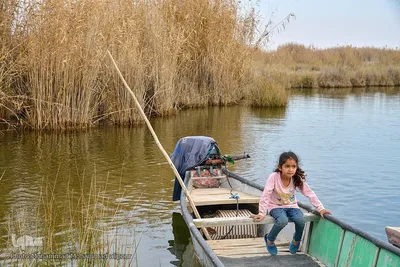 پیوند آب و آسمان در تالاب شادگان