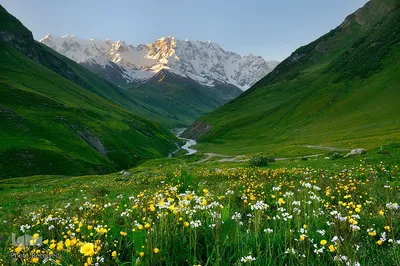 بهار در جهان