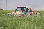 پانزدهم مهر؛ روز ملی روستا و عشایر