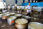 پخت غذا برای سیل‌زدگان خوزستانی توسط مواکب خمینی‌شهر