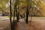 طبیعت پاییزی تبریز