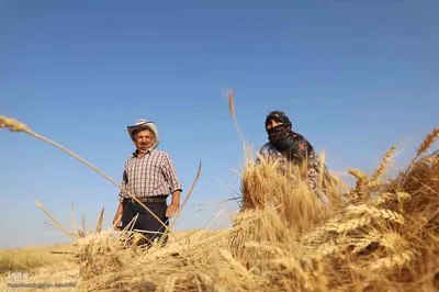 واژه مقدس پدر یعنی کوه آرامش، ستون استوار و سنگ صبور خانواده