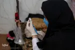 اجرای طرح واکسیناسیون خانه به خانه در مشهد
