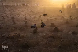 حجاج در بهشت بقیع
