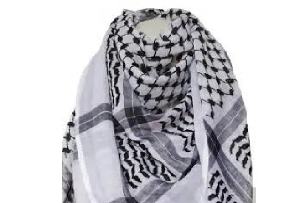 Un partisan non musulman de la Palestine ciblé par une attaque islamophobe