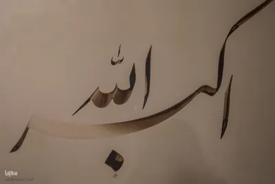 نمایشگاه «طلایه‌داران خطه خط»