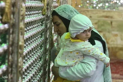 آیین تجدید میثاق با امامزاده احمدبن موسی الکاظم شاهچراغ