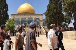 Zionistische Siedler stürmen Gelände der Al-Aqsa Moschee