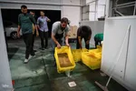 یا علی گفتیم و عشق آغاز شد