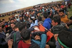 Qayıdış yürüşlərində indiyədək 324 nəfər şəhid olub