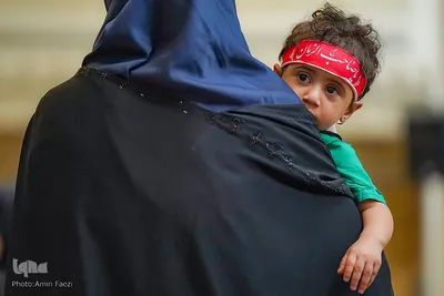 مراسم شیرخوارگان در حرم مطهر شاهچراغ(ع)