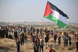 Scores of Palestinians Injured by Zionist Forces in Gaza