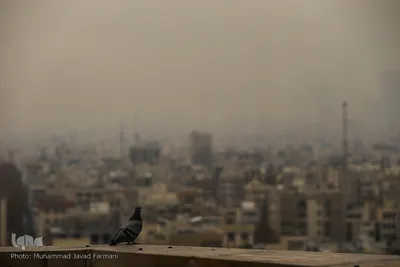 آلودگی شهر تهران، دوشنبه ۱۱ آذر