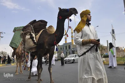 ورود نمادین کاروان حسینی به سرزمین کربلا