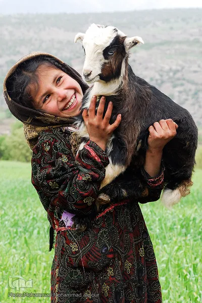 عشایر و زندگی روستایی
