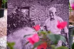 نمایشگاه گل و گیاه - محلات/عکس:محمد رجبی