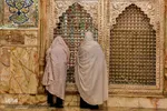 تجدید میثاق خدام امام رضا با حضرت شاهچراغ (ع)